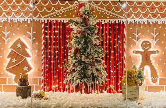 Dicas para um Natal elegante e acolhedor