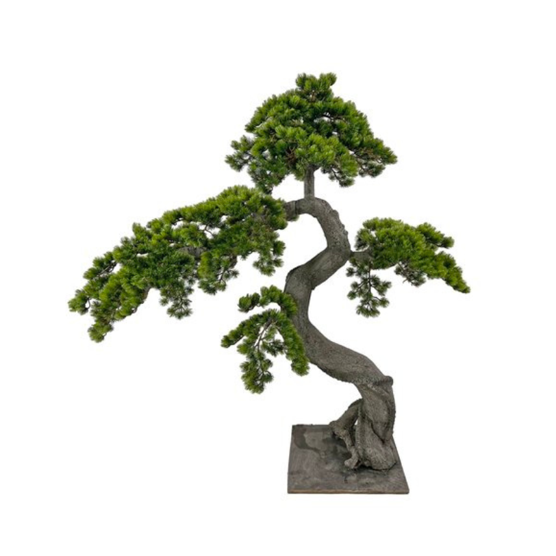 Bonsai 125cm