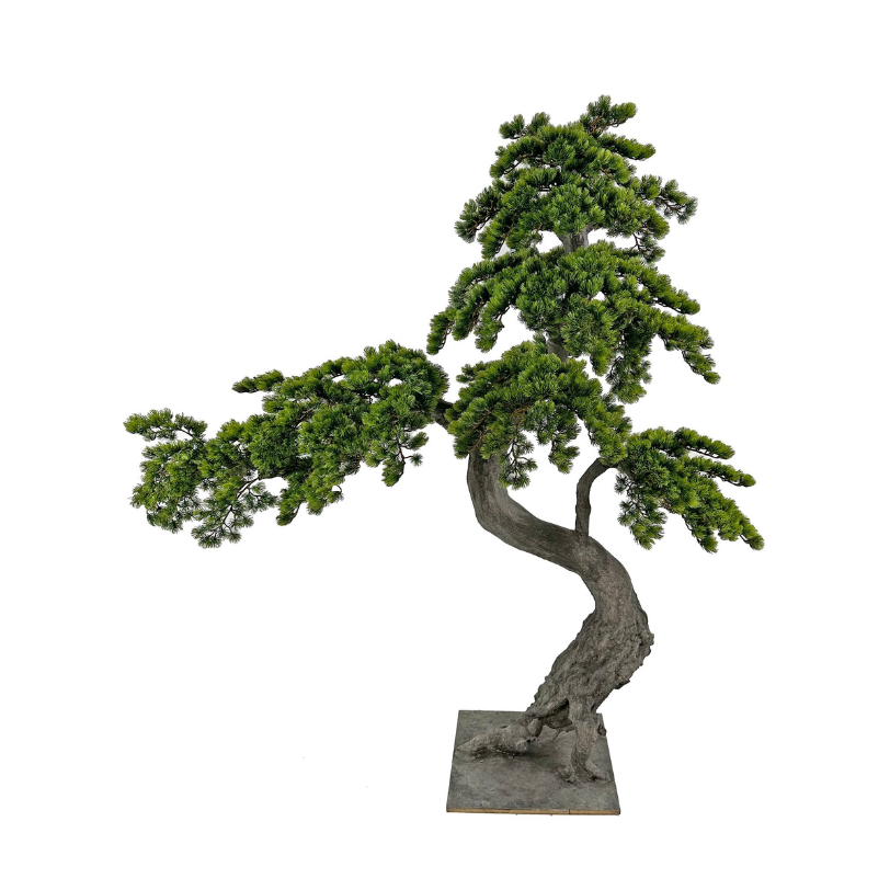 Bonsai 160cm