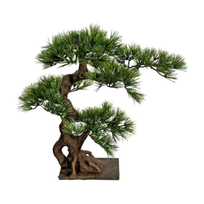Bonsai 46cm