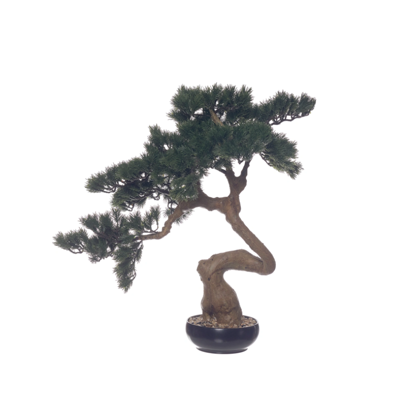 Bonsai 68cm