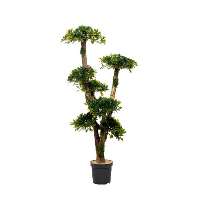 Bonsai Triplex 140