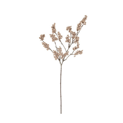 Branch Berries